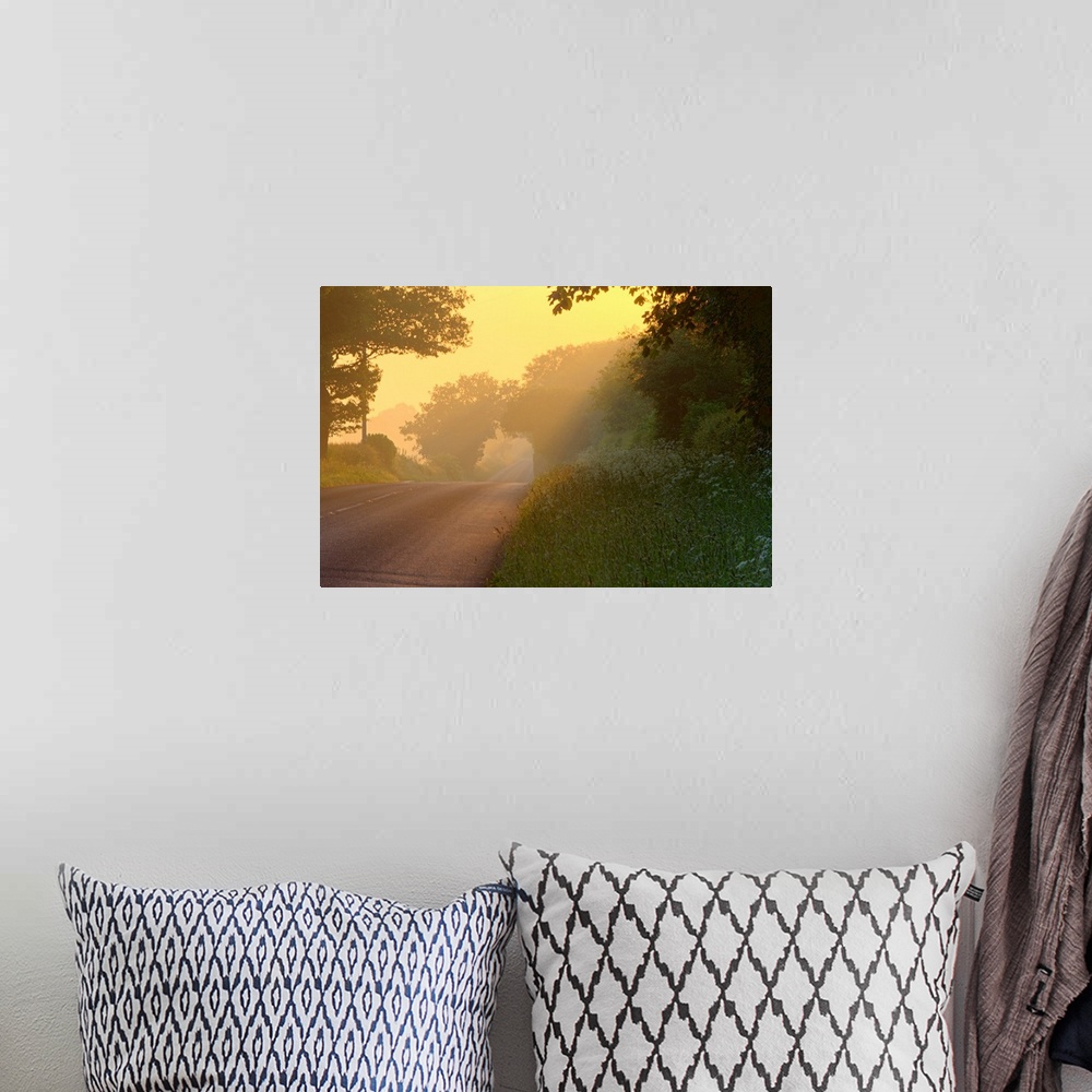 A bohemian room featuring Canvas photo art of an empty country road running through a forest.