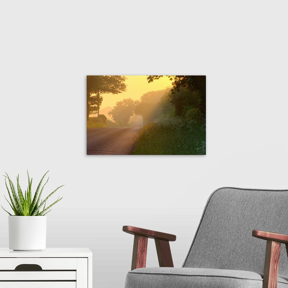 A modern room featuring Canvas photo art of an empty country road running through a forest.