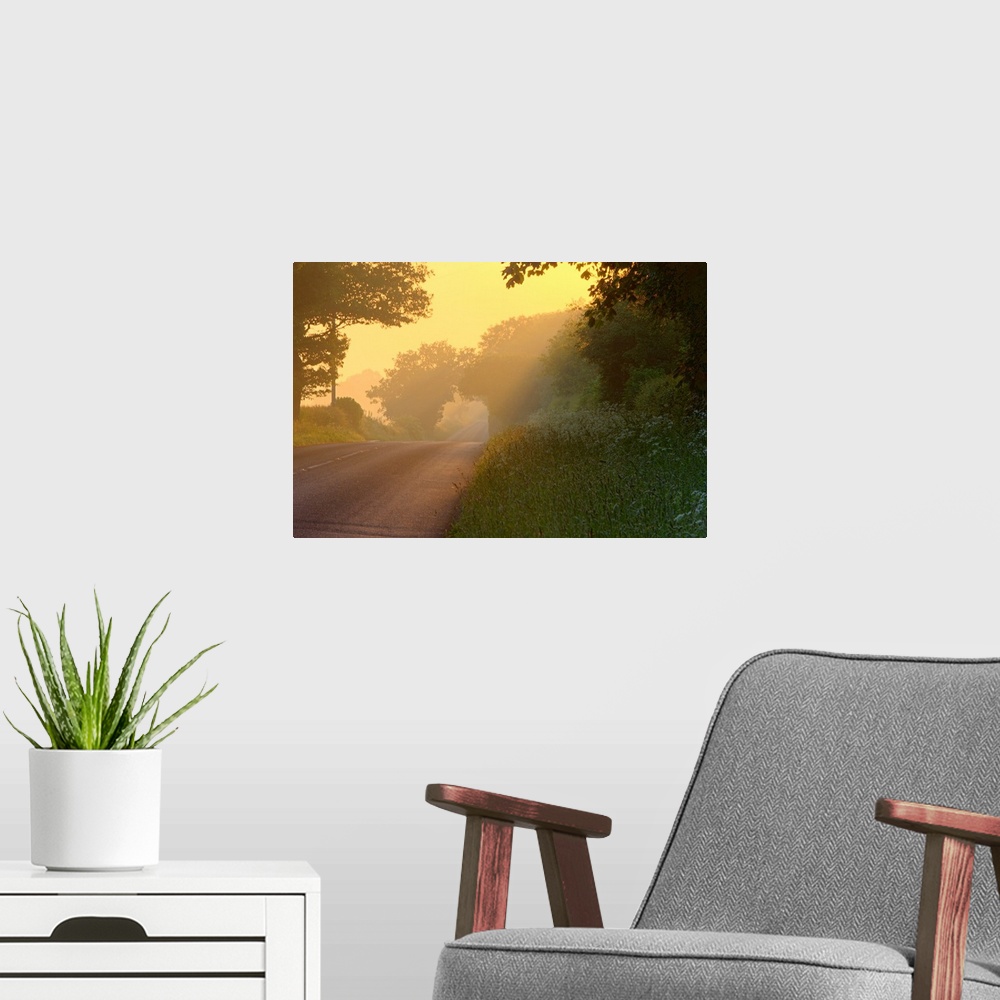 A modern room featuring Canvas photo art of an empty country road running through a forest.