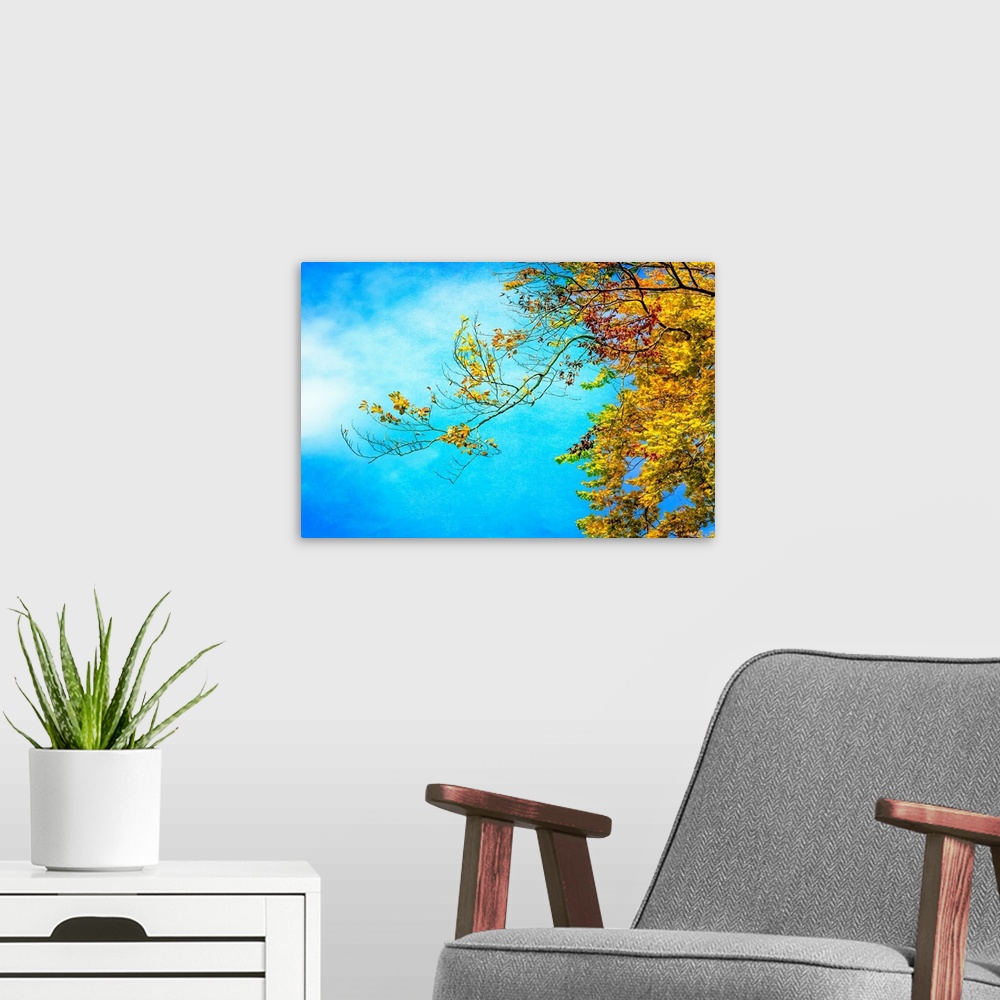 A modern room featuring Photograph of branches from an Autumn tree with yellow and red leaves on a light blue sky backgro...