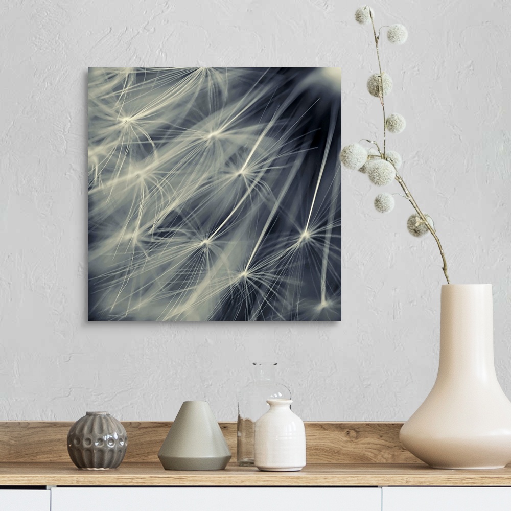 A farmhouse room featuring Photograph taken very closely of the florets on a dandelion.