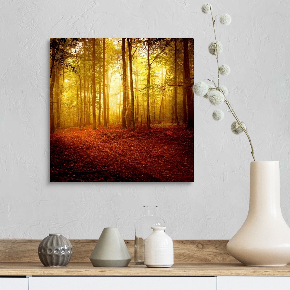 A farmhouse room featuring Big square photograph taken of the sun making its way through a forest filled with thin trees in ...