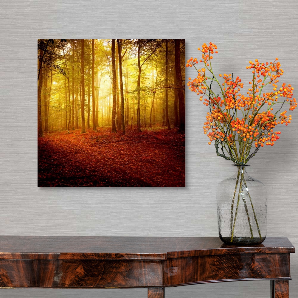 A traditional room featuring Big square photograph taken of the sun making its way through a forest filled with thin trees in ...