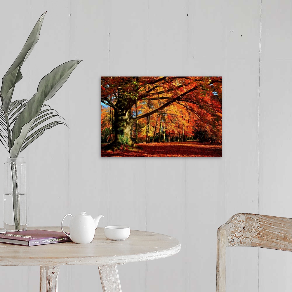 A farmhouse room featuring Big photograph that showcases a forest filled with trees going through the color changes of Fall.