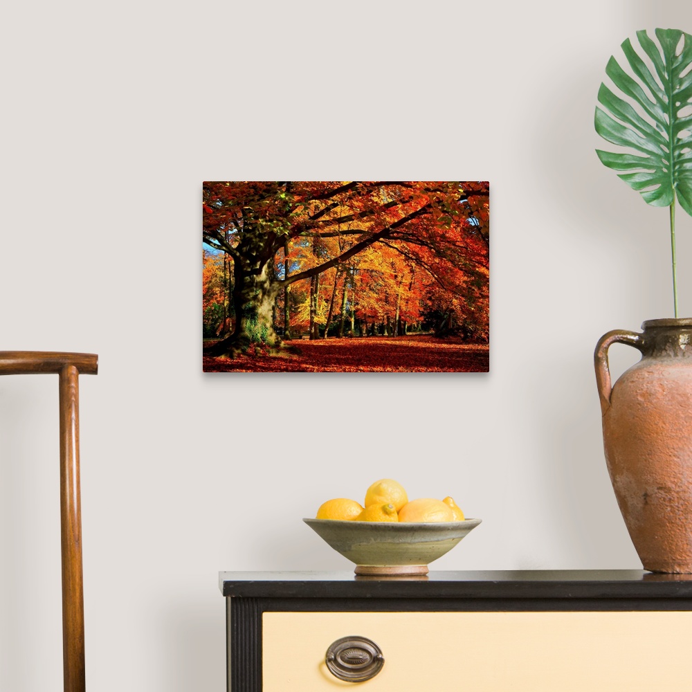 A traditional room featuring Big photograph that showcases a forest filled with trees going through the color changes of Fall.