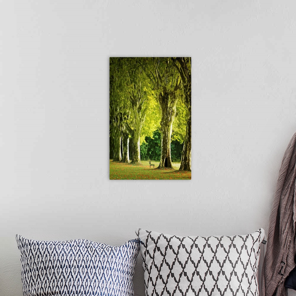 A bohemian room featuring Fine art photo of a small bench dwarfed by the large row of trees.