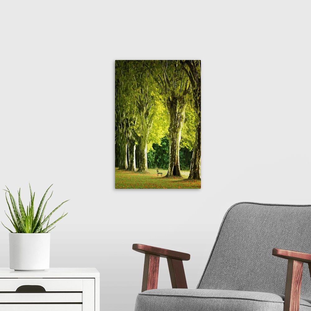 A modern room featuring Fine art photo of a small bench dwarfed by the large row of trees.