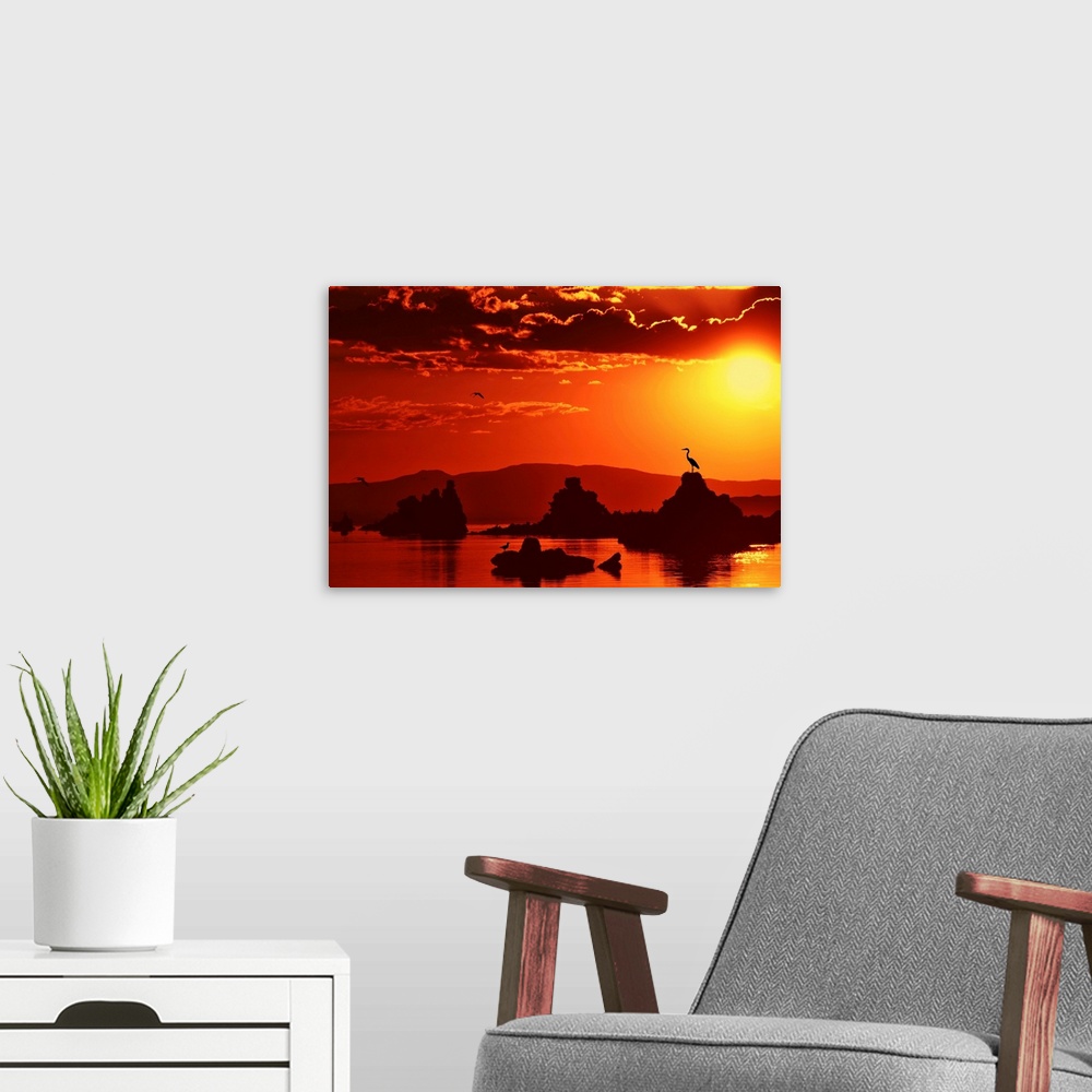 A modern room featuring Sunrise over a lake with birds