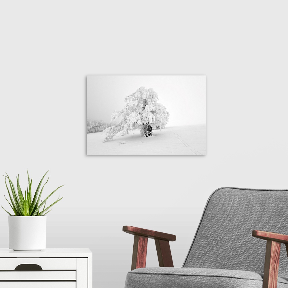 A modern room featuring The White Tree