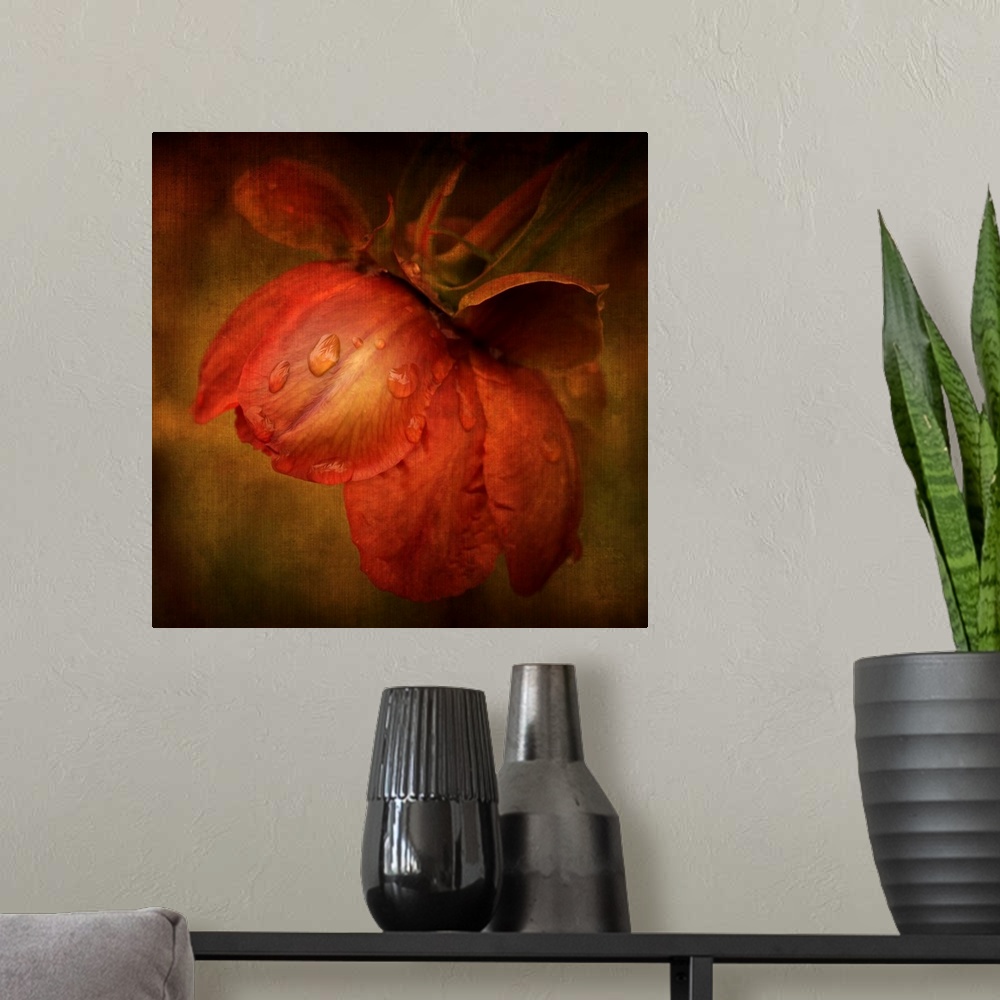 A modern room featuring Artist photograph of a close-up of a red flower.