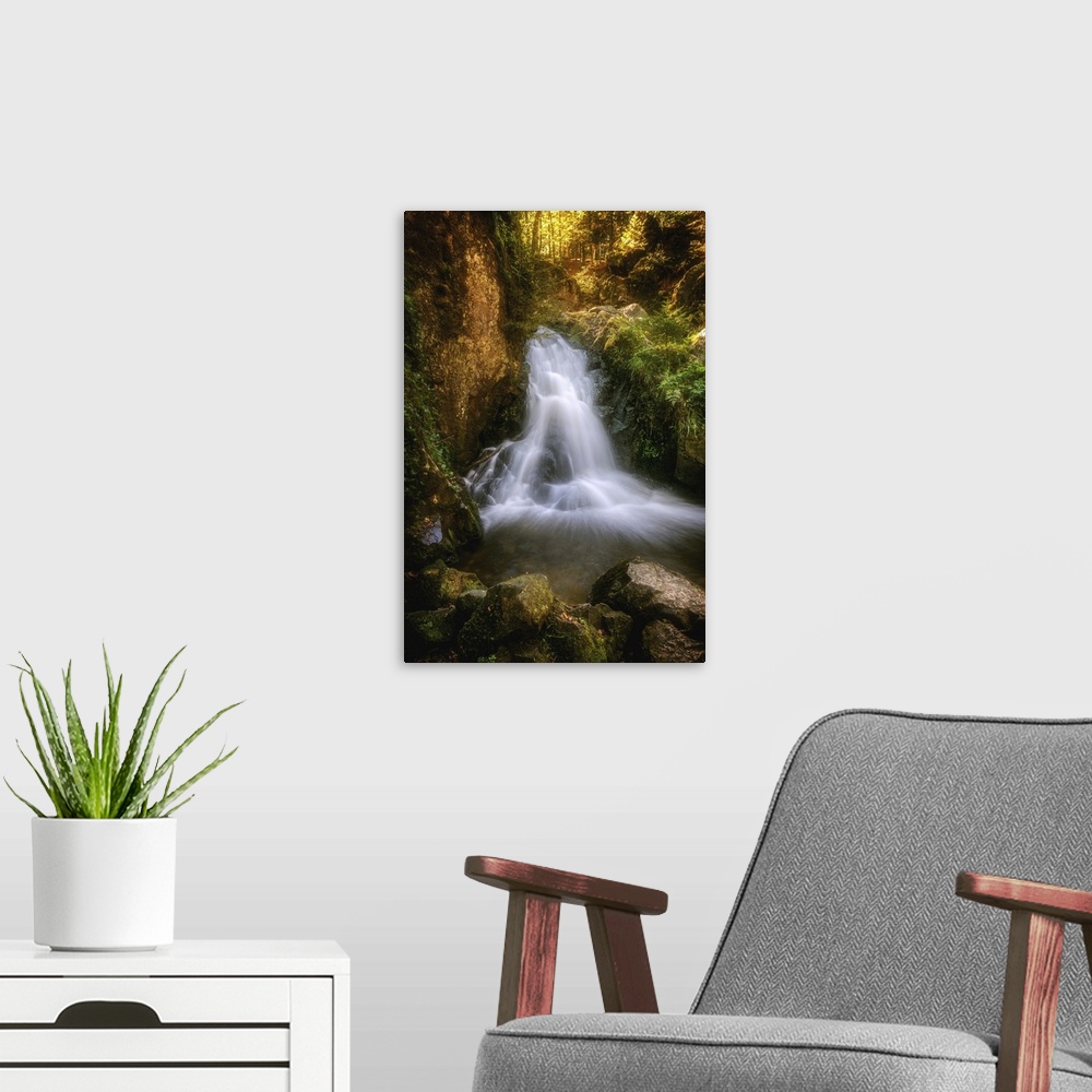 A modern room featuring Waterfall in a forest with golden light.