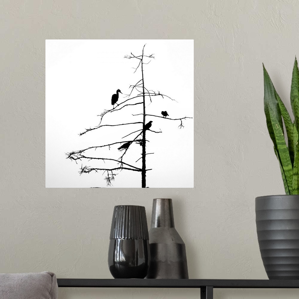 A modern room featuring Three Crows and a Heron