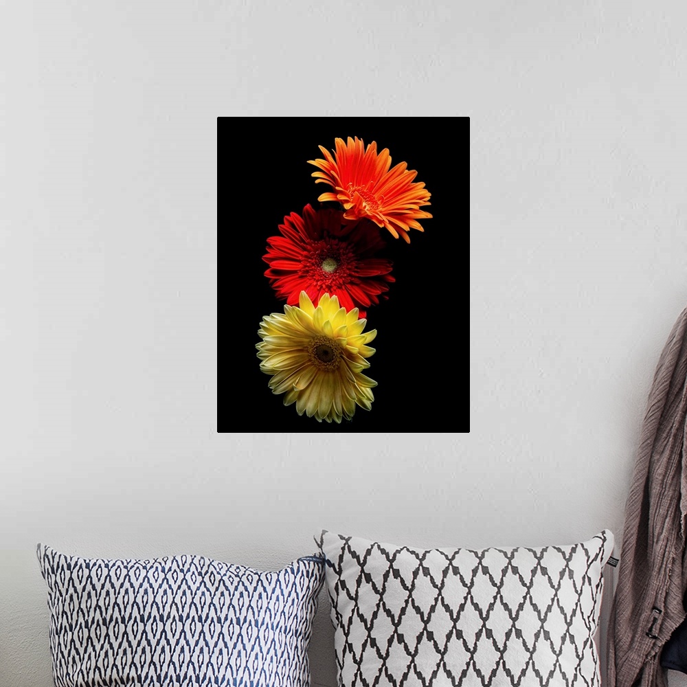A bohemian room featuring A photograph of colorful flowers against a black background.