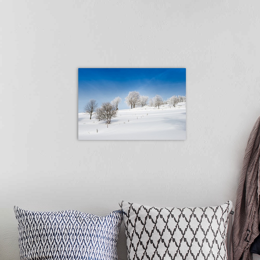 A bohemian room featuring A field covered in snow in the winter under a bright blue sky.