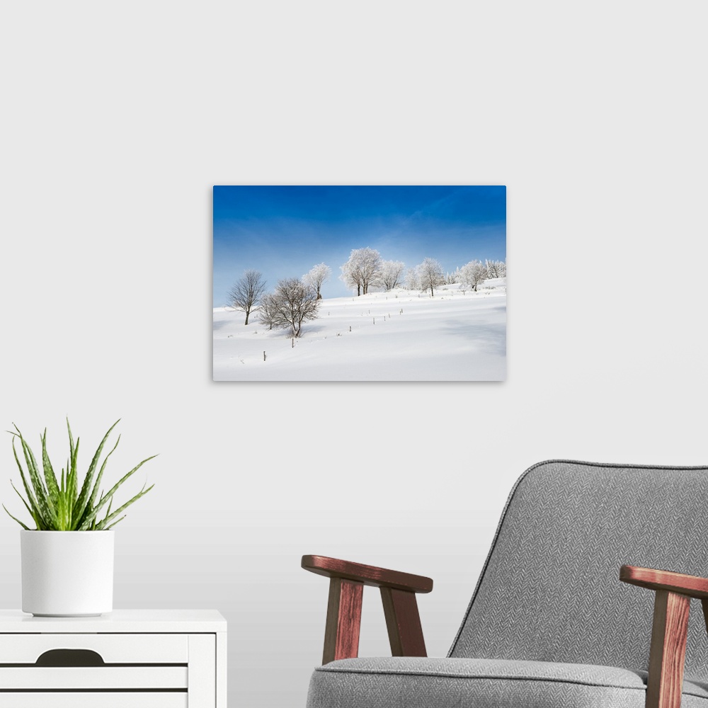 A modern room featuring A field covered in snow in the winter under a bright blue sky.