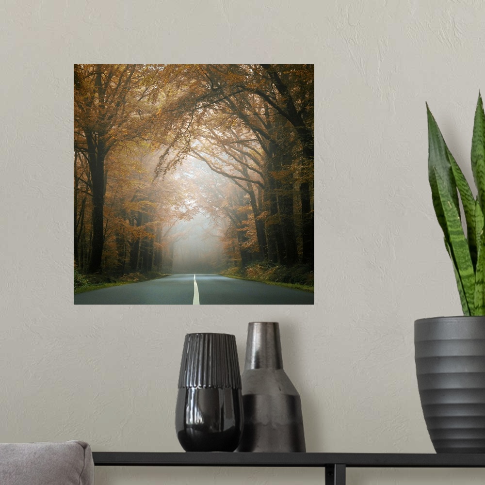A modern room featuring Square picture of a road crossing the forest behind dark trees at fall.