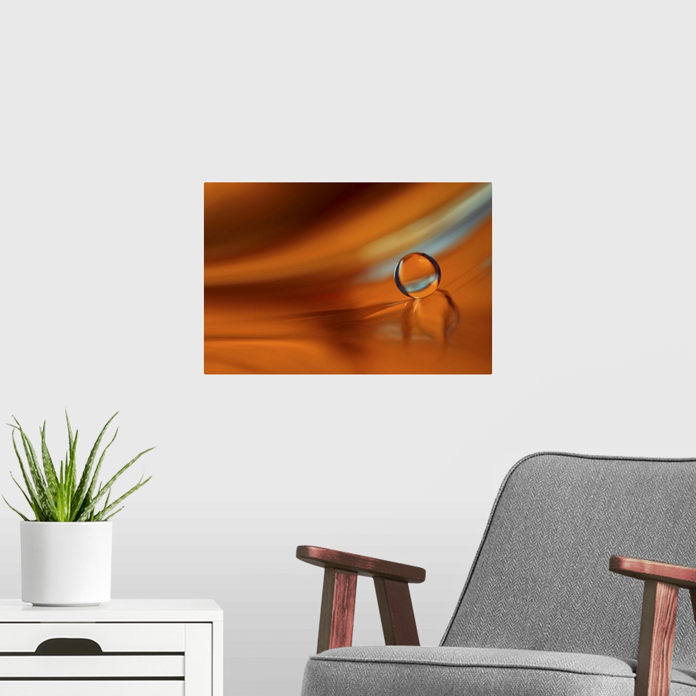A modern room featuring A macro photograph of a water droplet sitting on an orange surface.