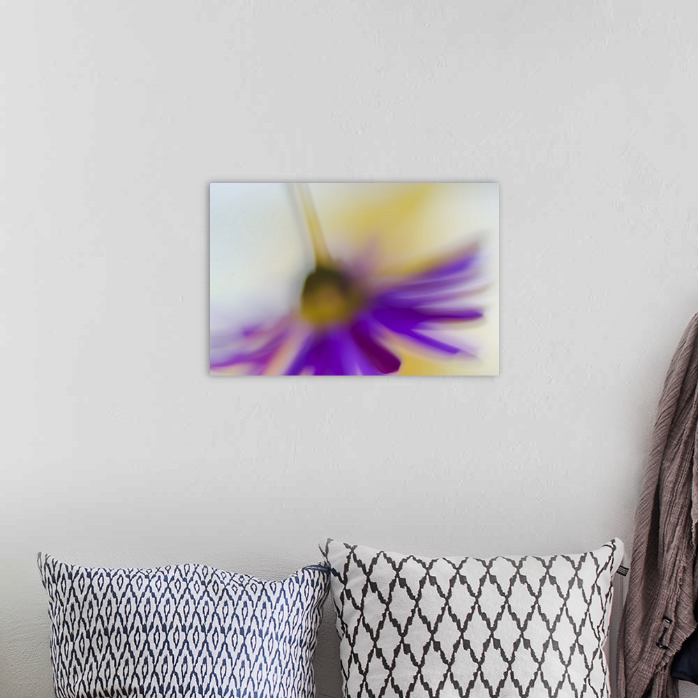 A bohemian room featuring Blurred view of a purple flower hanging upside-down.