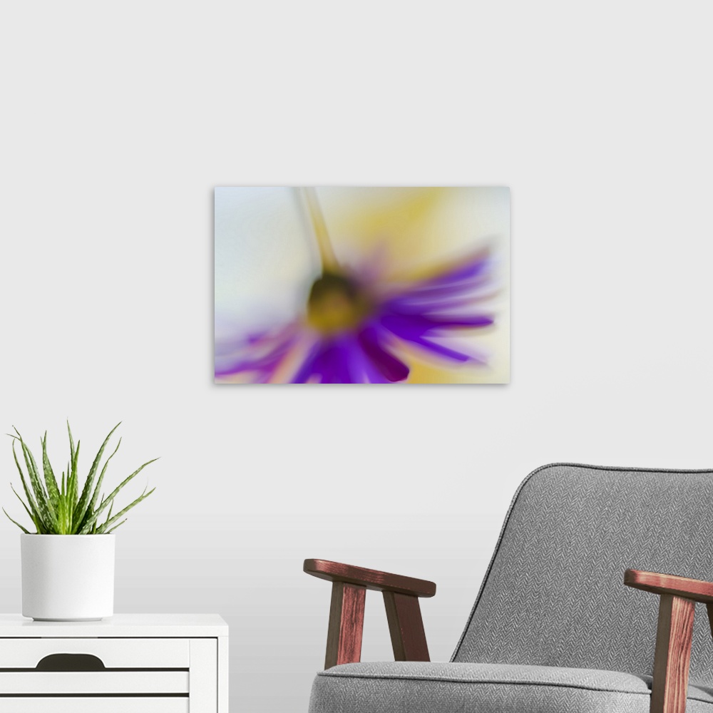 A modern room featuring Blurred view of a purple flower hanging upside-down.