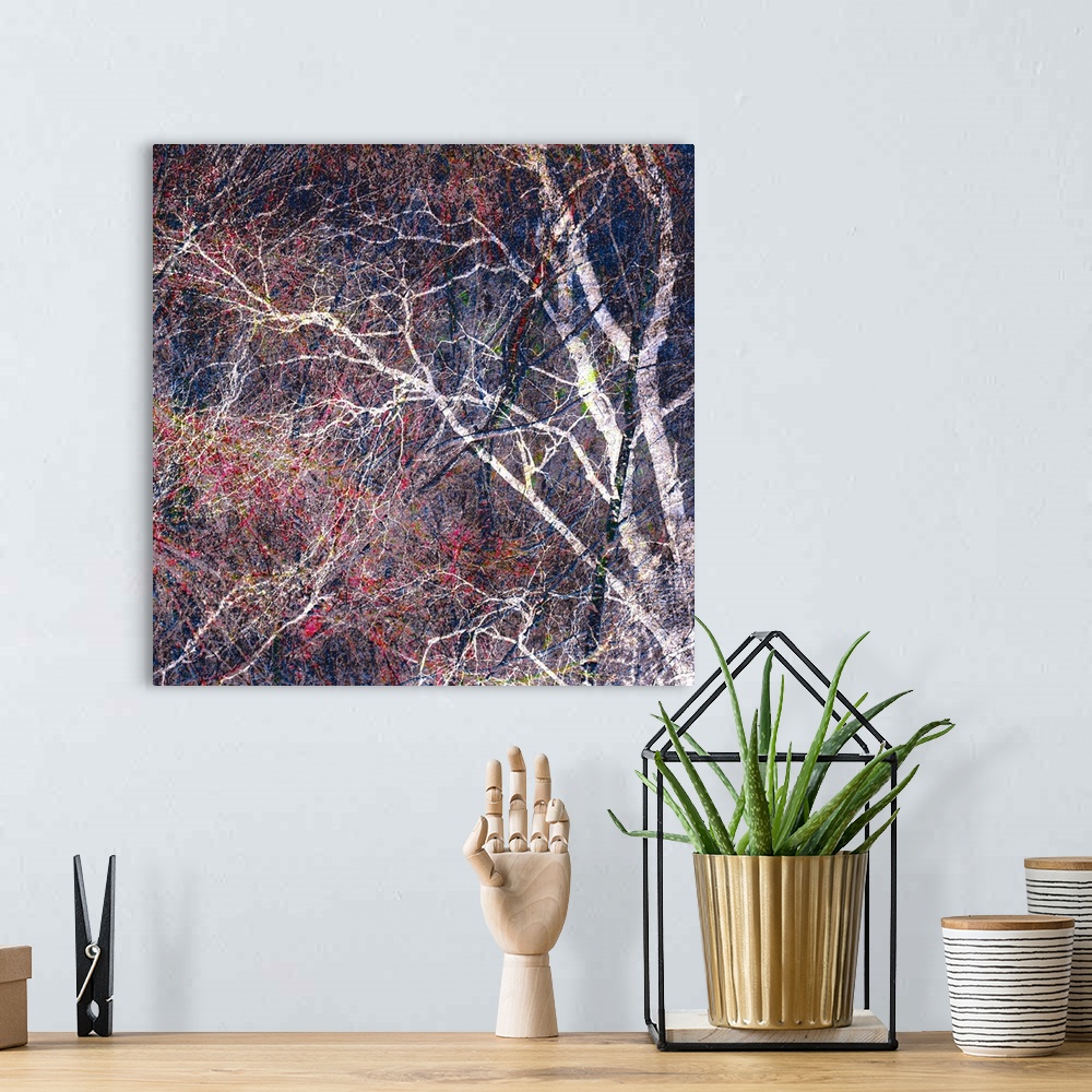 A bohemian room featuring Square photograph of a tree with a lot of thin branches manipulated with red, blue, green, and ye...