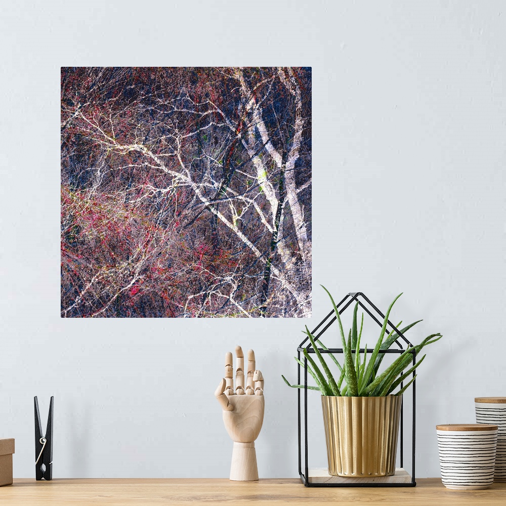 A bohemian room featuring Square photograph of a tree with a lot of thin branches manipulated with red, blue, green, and ye...