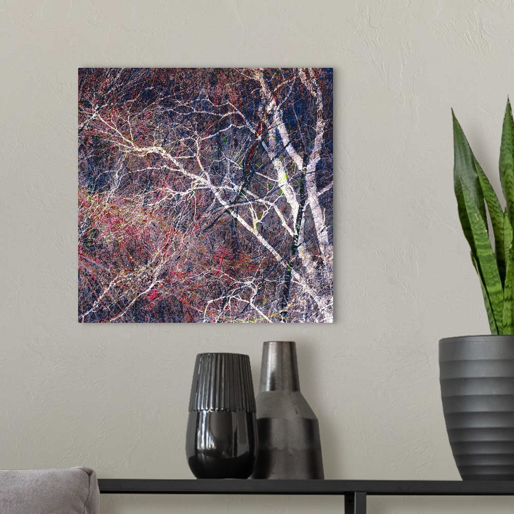 A modern room featuring Square photograph of a tree with a lot of thin branches manipulated with red, blue, green, and ye...