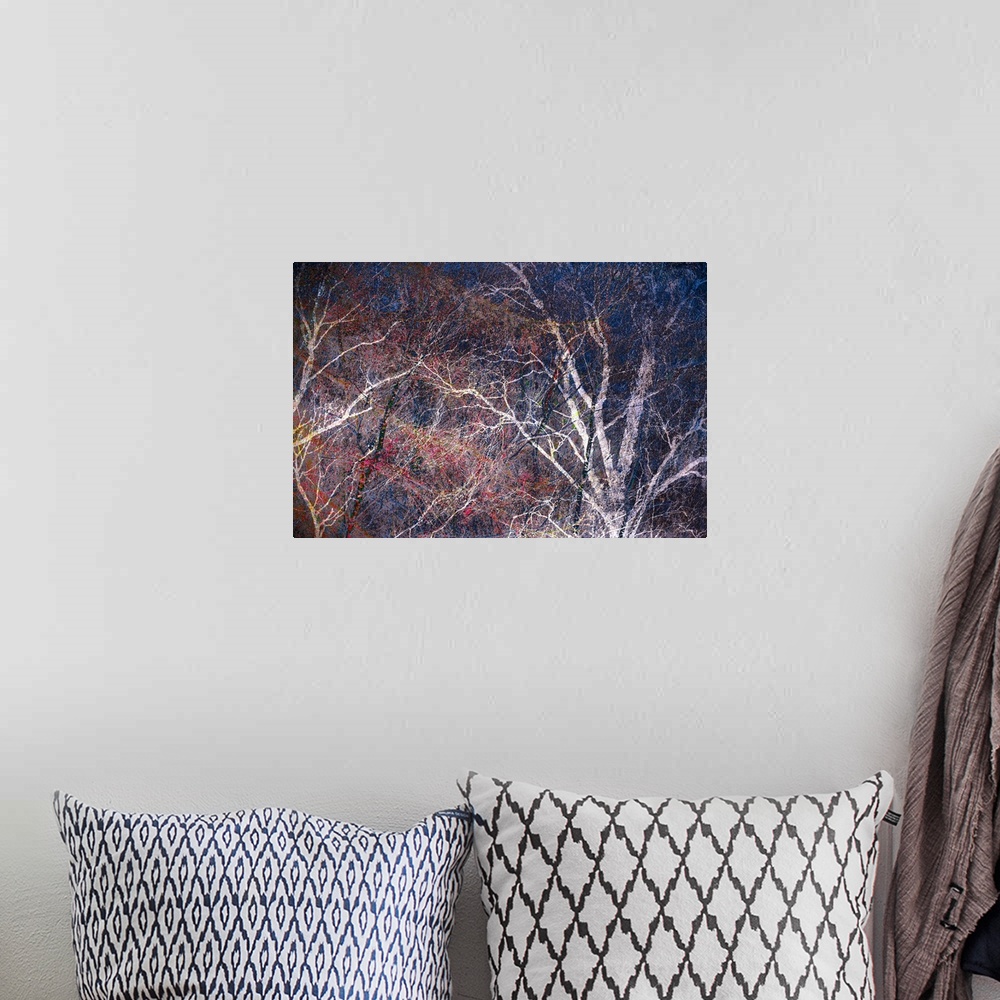 A bohemian room featuring Abstract photograph of tree branches in the woods colored with bright pink, yellow, and red hues.