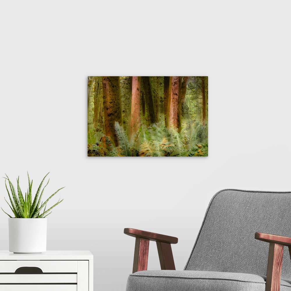 A modern room featuring An creative photograph of a forest.