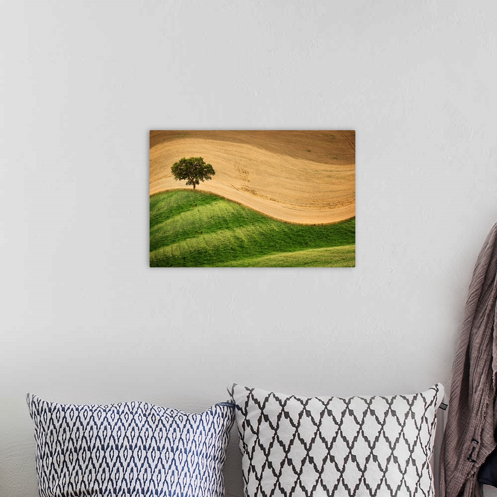 A bohemian room featuring A photograph of a countryside landscape with rolling hills and a lone tree.
