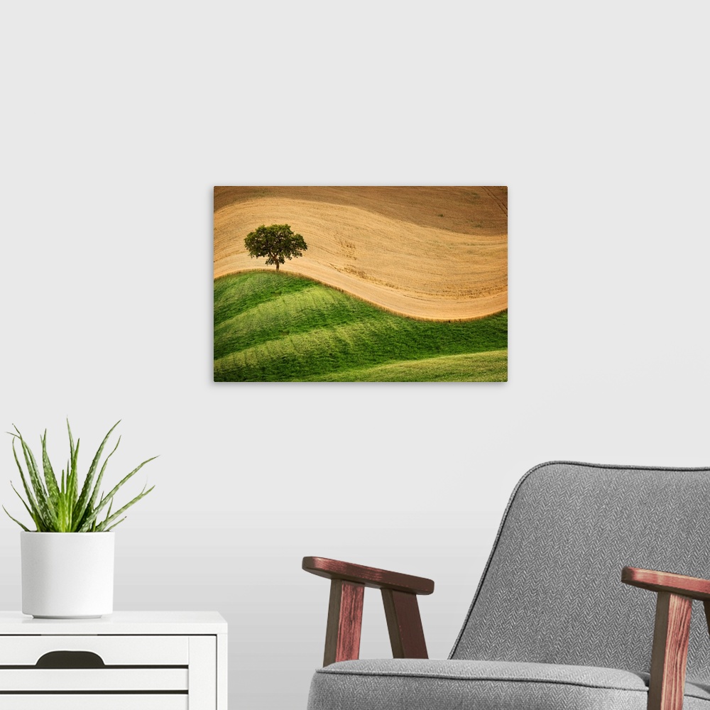 A modern room featuring A photograph of a countryside landscape with rolling hills and a lone tree.