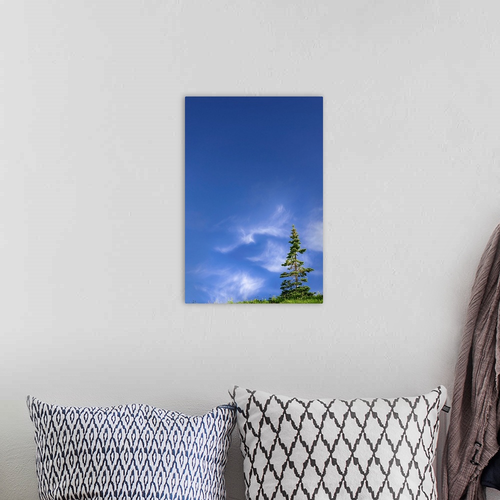 A bohemian room featuring Fine art photo of a lone tree with some clouds in the otherwise clear sky.