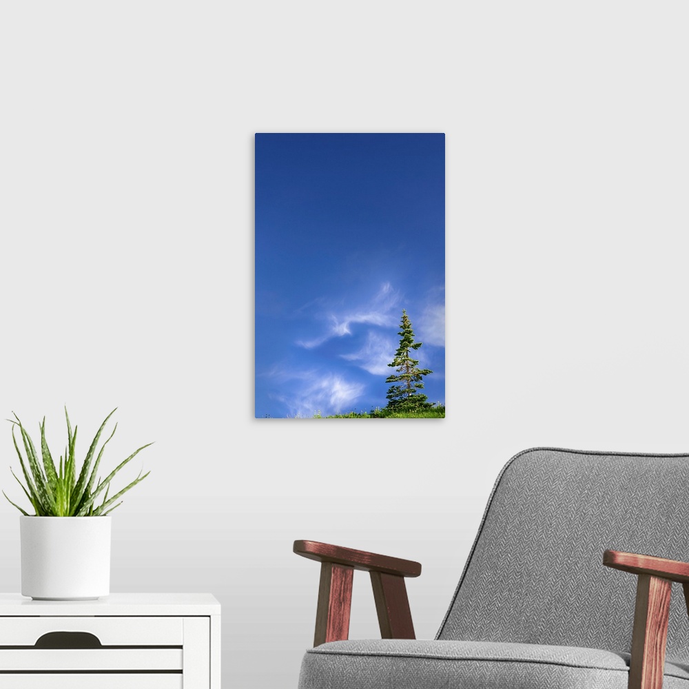 A modern room featuring Fine art photo of a lone tree with some clouds in the otherwise clear sky.