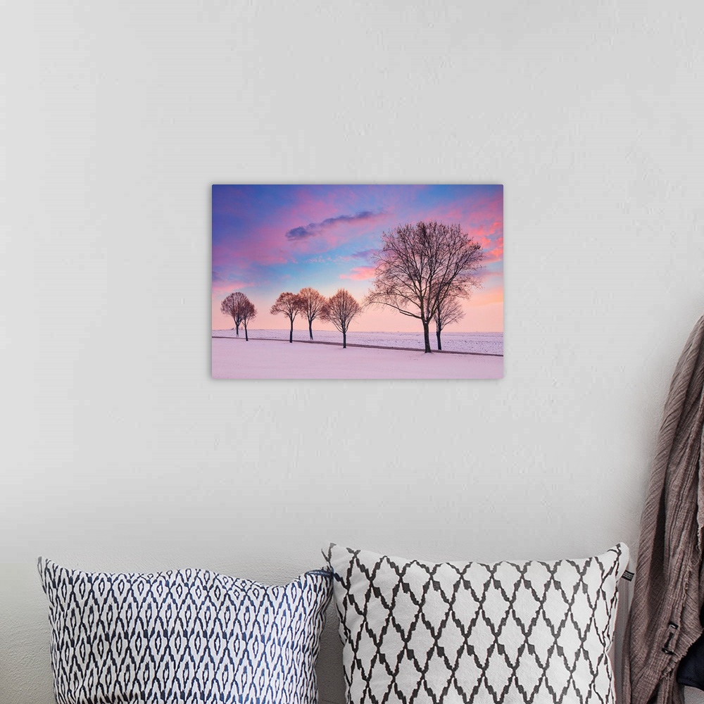 A bohemian room featuring Sunset over a snowy landscape with trees in the foreground