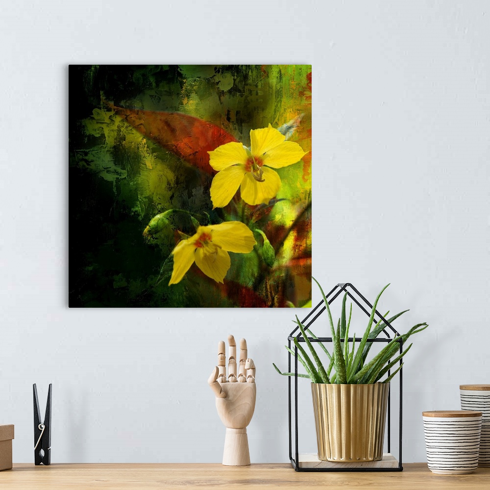 A bohemian room featuring Giant, square, fine art photograph of two tropical flowers on a background of patchy, rough, tran...