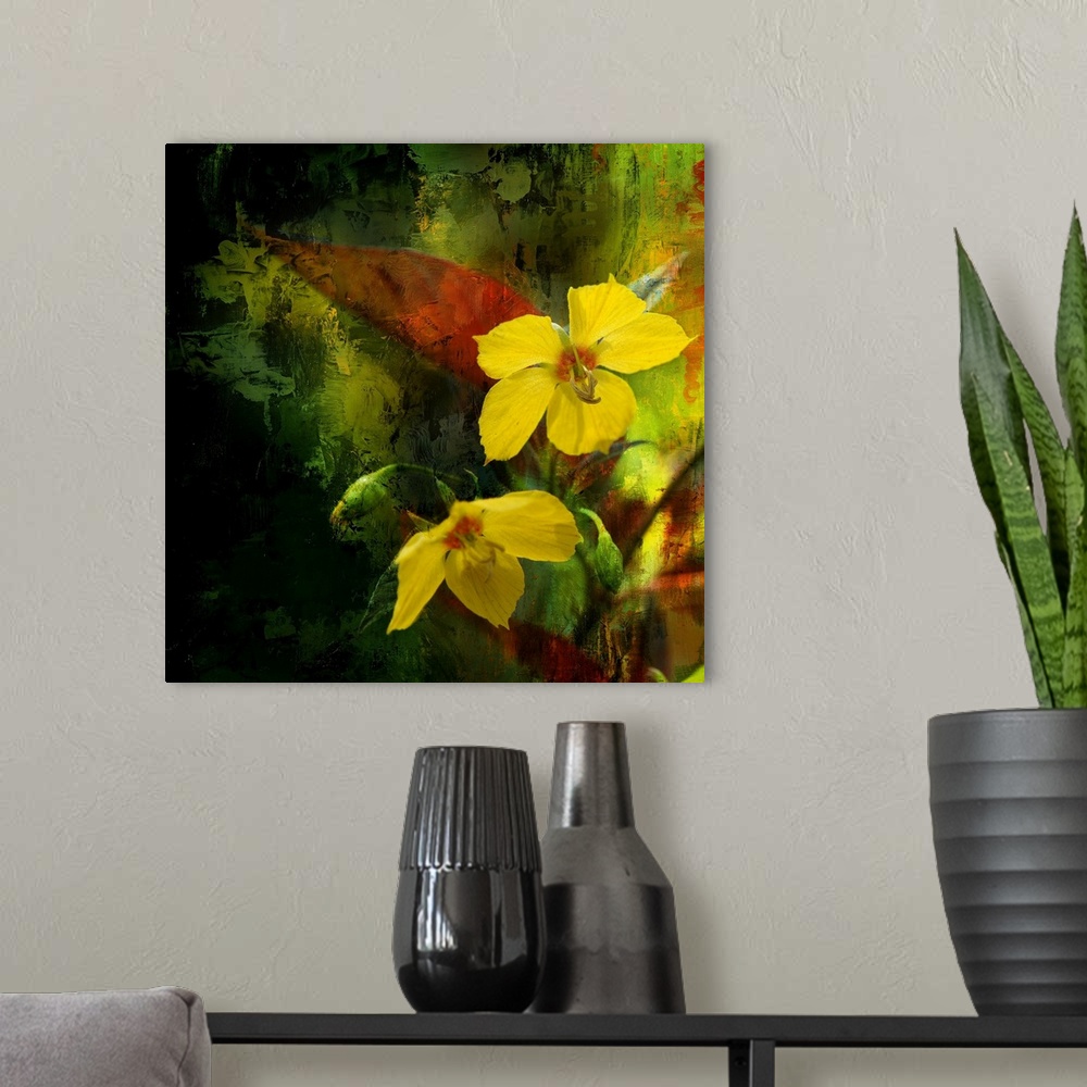 A modern room featuring Giant, square, fine art photograph of two tropical flowers on a background of patchy, rough, tran...