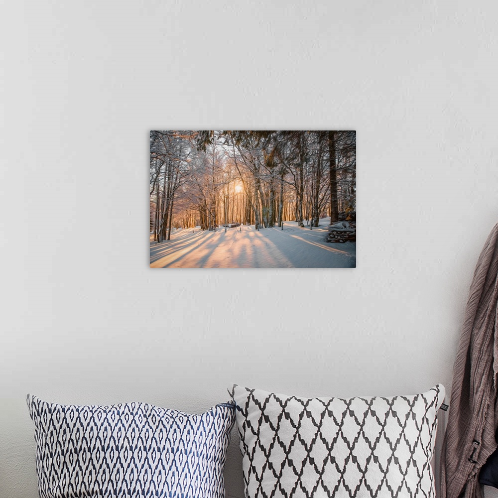 A bohemian room featuring Photo Expressionism - Sunset through a snowy forest.