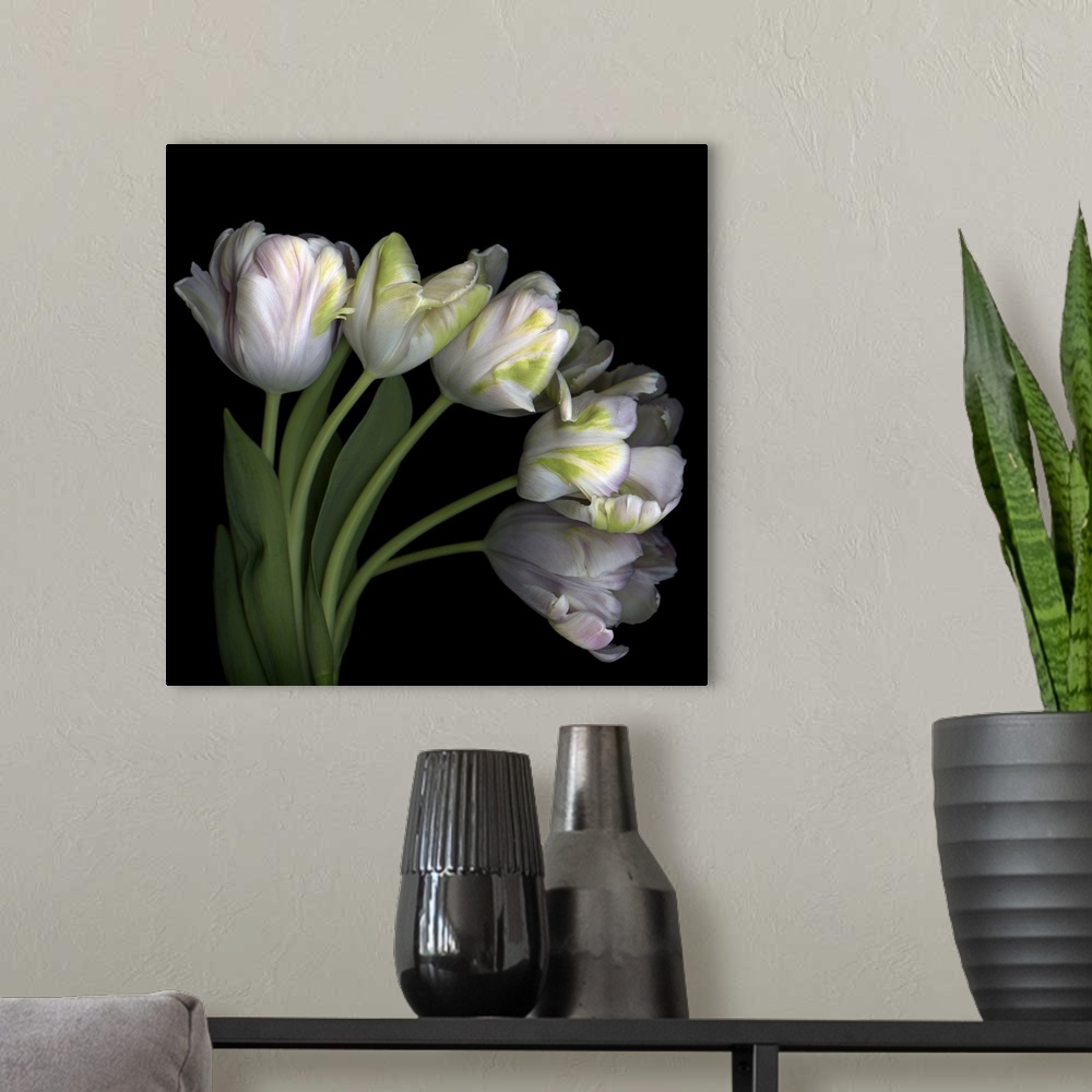 A modern room featuring Pale pink tulip bouquet