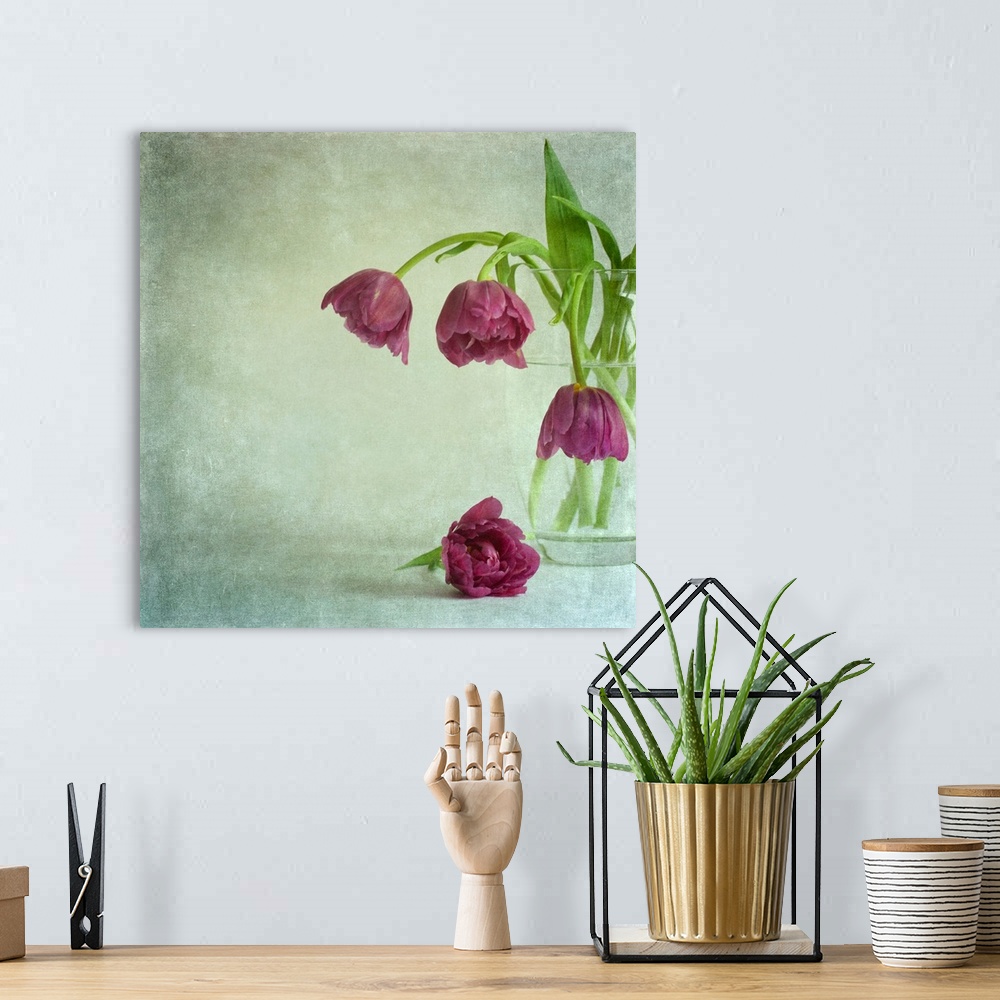 A bohemian room featuring A vintage crystal vase of ruffled deep magenta pink tulips bowing gracefully from the vase on a g...