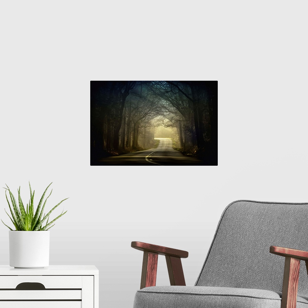 A modern room featuring Natural tunnel and a long road crossing the lighting forest, no leaves on these fantomatic trees.