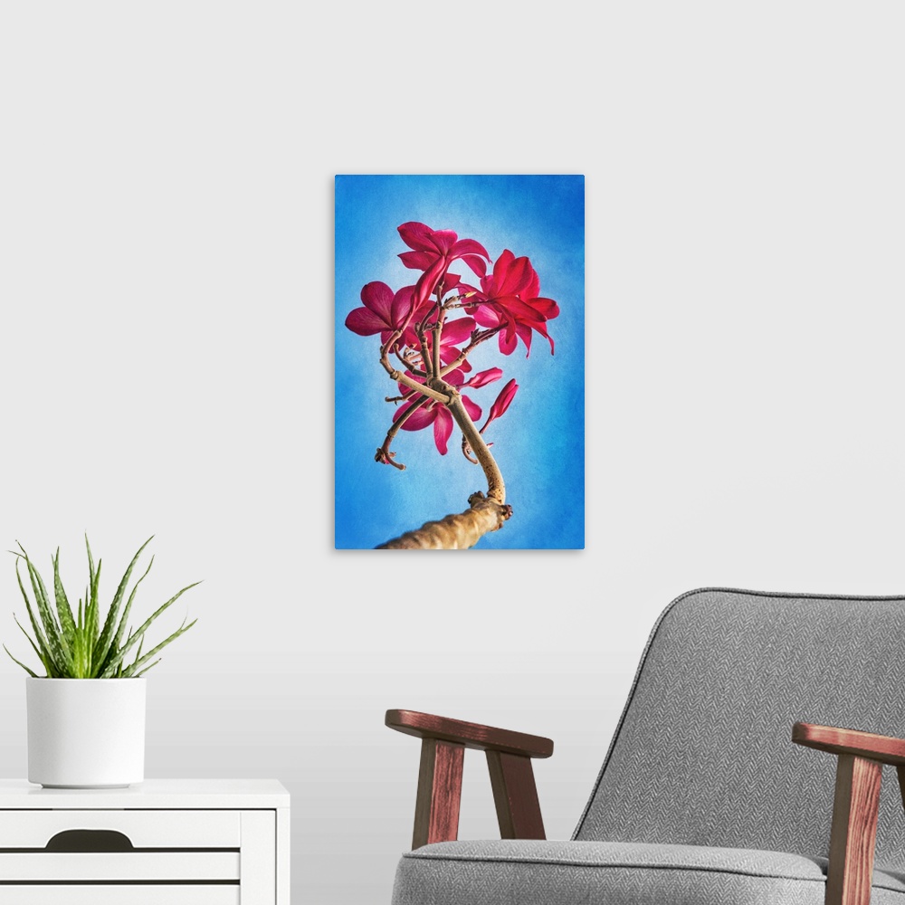 A modern room featuring Frangipane red flower also called Plumeria, very common in Asia