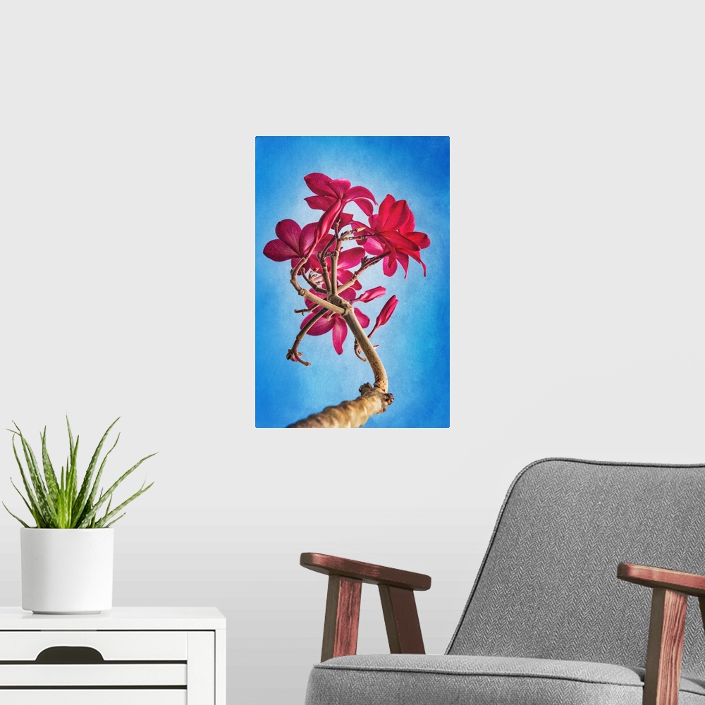 A modern room featuring Frangipane red flower also called Plumeria, very common in Asia