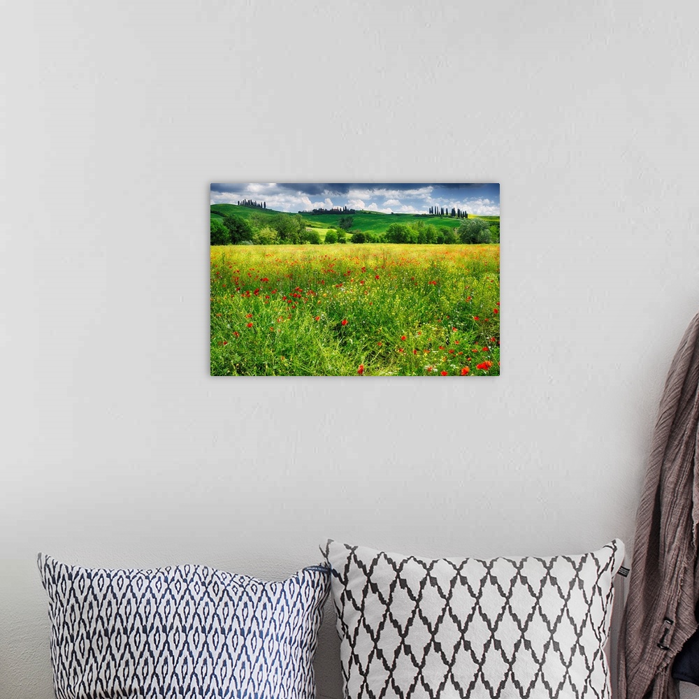 A bohemian room featuring Spring meadow, Pienza, Val d'Orcia, Tuscany, Italy.