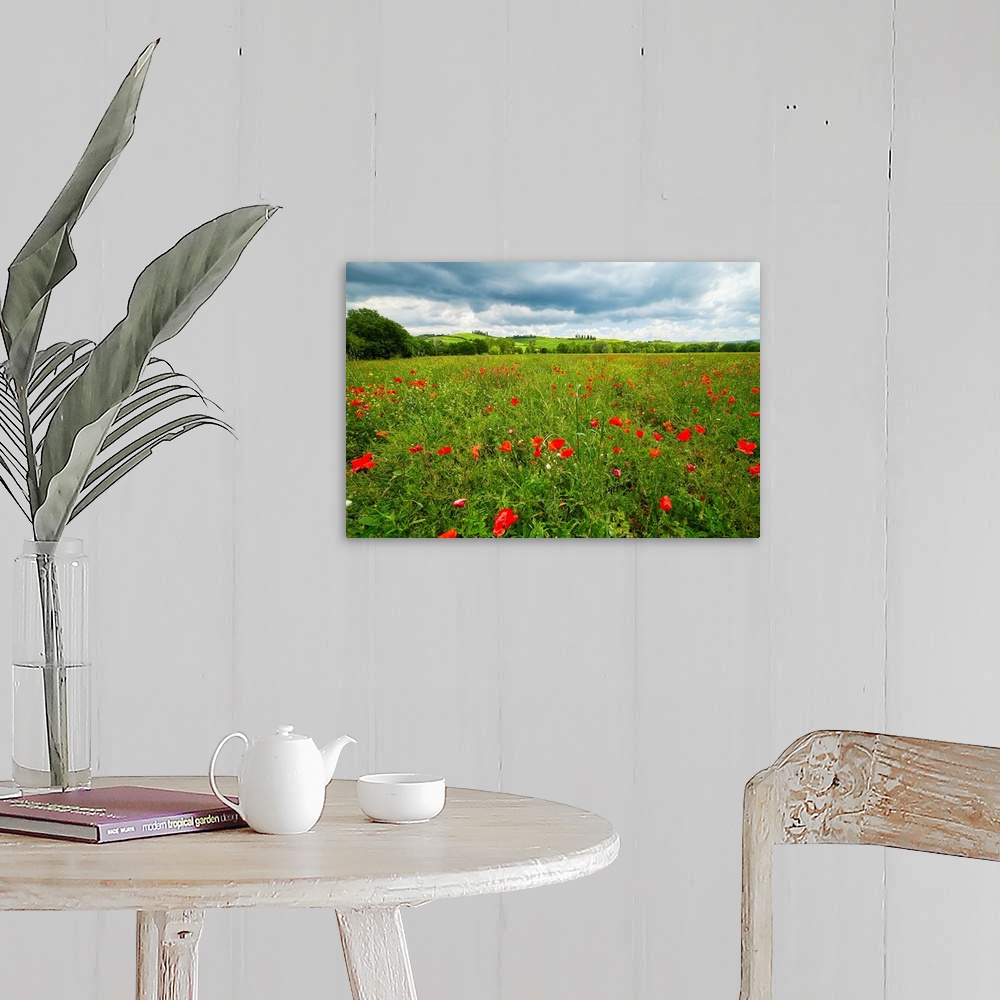 A farmhouse room featuring Spring meadow filled with poppies, Pienza, Val d'Orcia, Tuscany, Italy.