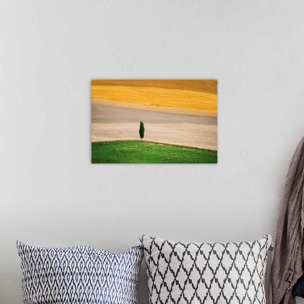 A bohemian room featuring A lone cypress tree in the fields of Tuscany.