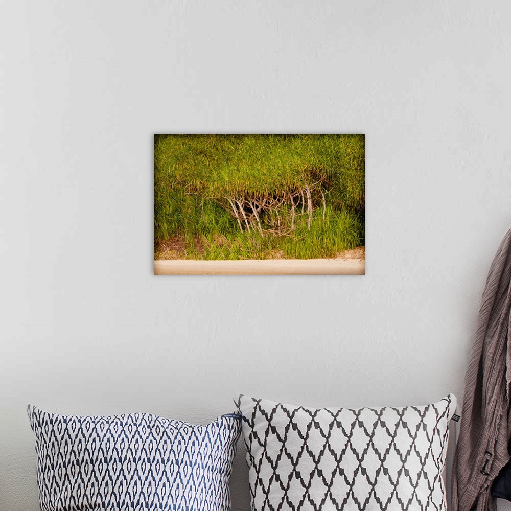 A bohemian room featuring A photo of a palm brush off the beach with intertwining tree trunks.