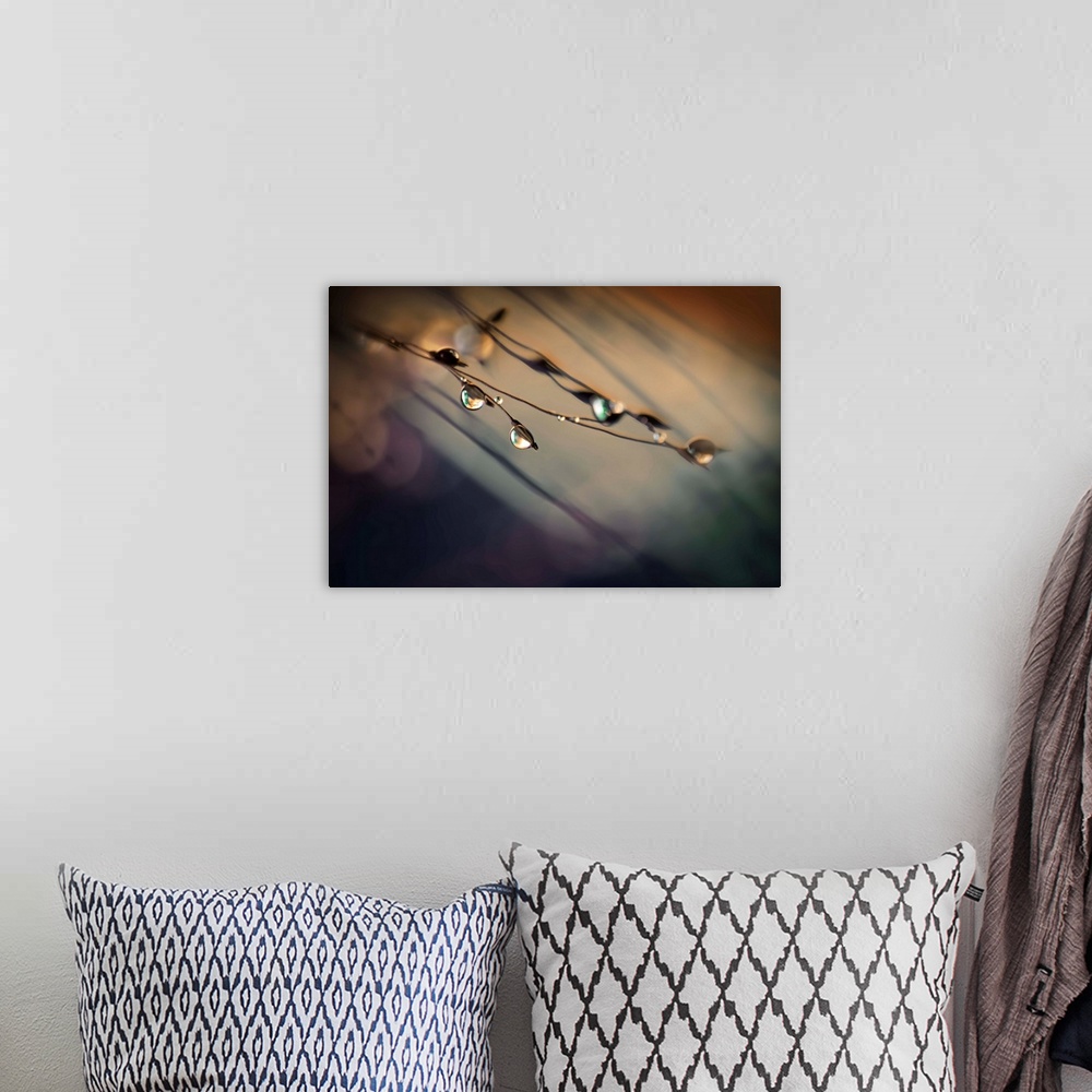 A bohemian room featuring Fine art photo of water droplets clinging to very thin twigs with a bokeh background.
