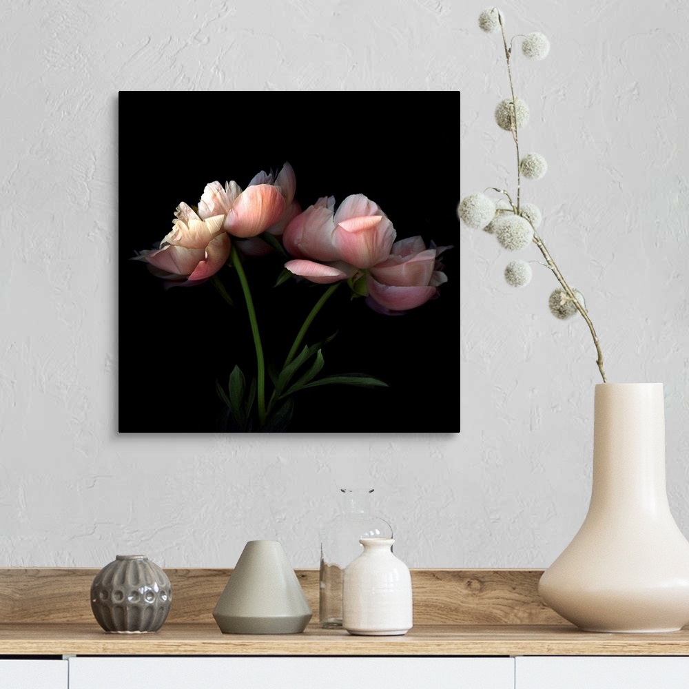 A farmhouse room featuring Square photo on canvas of two flowers against a dark background.