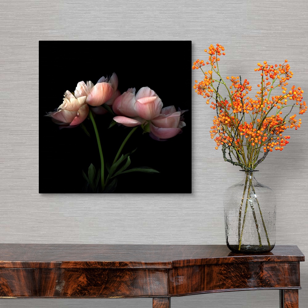 A traditional room featuring Square photo on canvas of two flowers against a dark background.