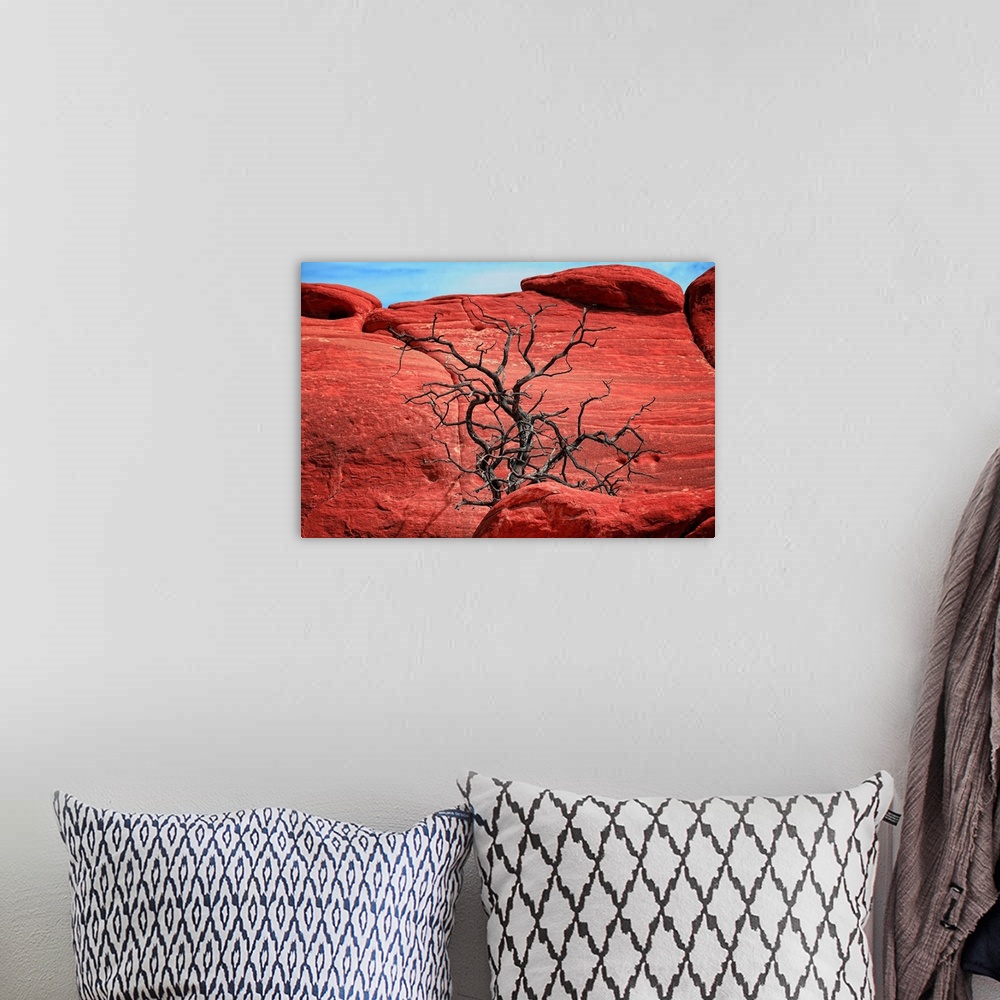 A bohemian room featuring Dead tree in front of red rocks