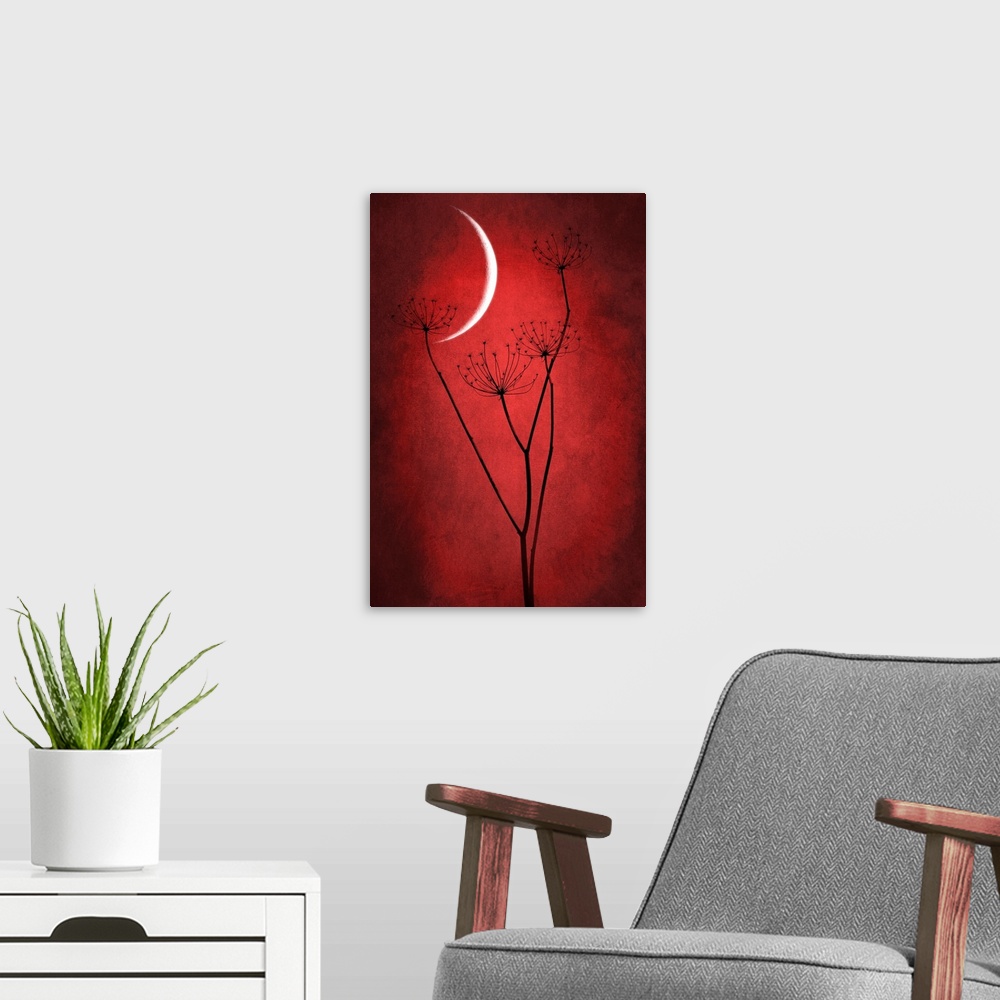 A modern room featuring Crescent moon with grass in the foreground. Dominant red